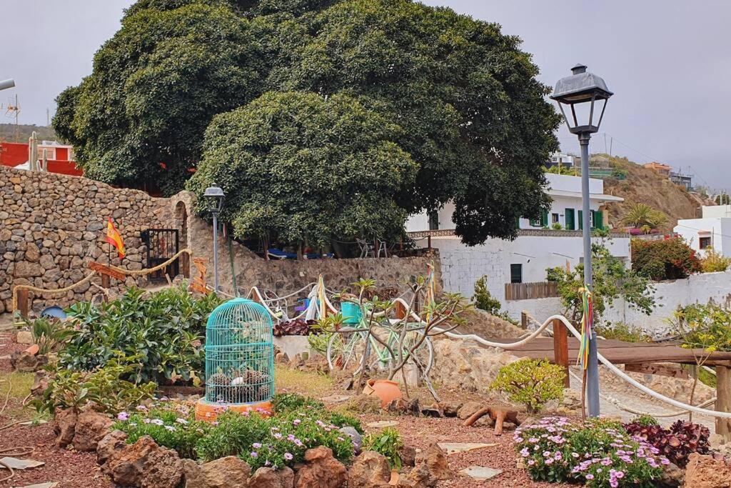 La Bodeguita Apartamento Santo Domingo La Guancha エクステリア 写真